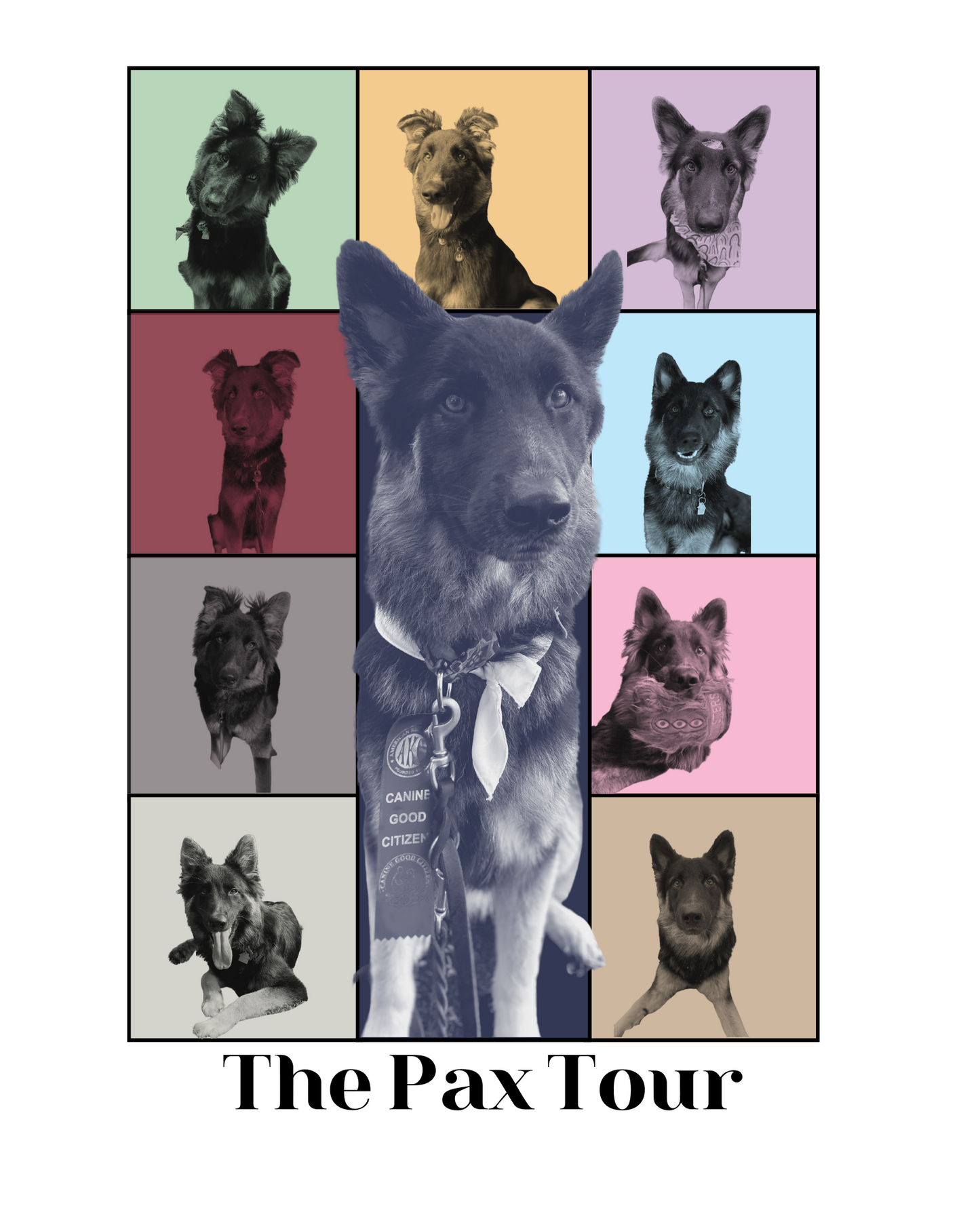 Pet Custom Eras Poster