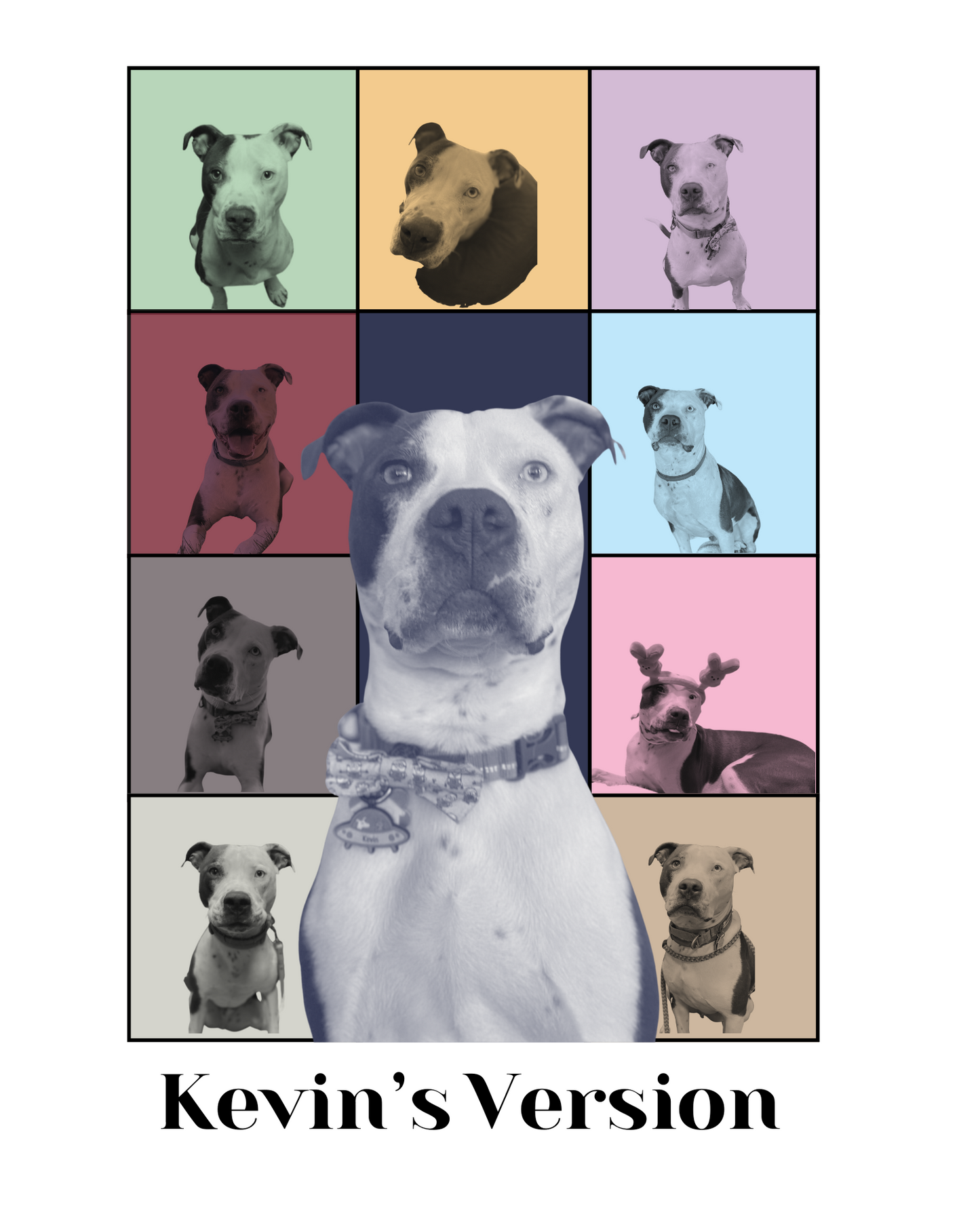 Pet Custom Eras Poster