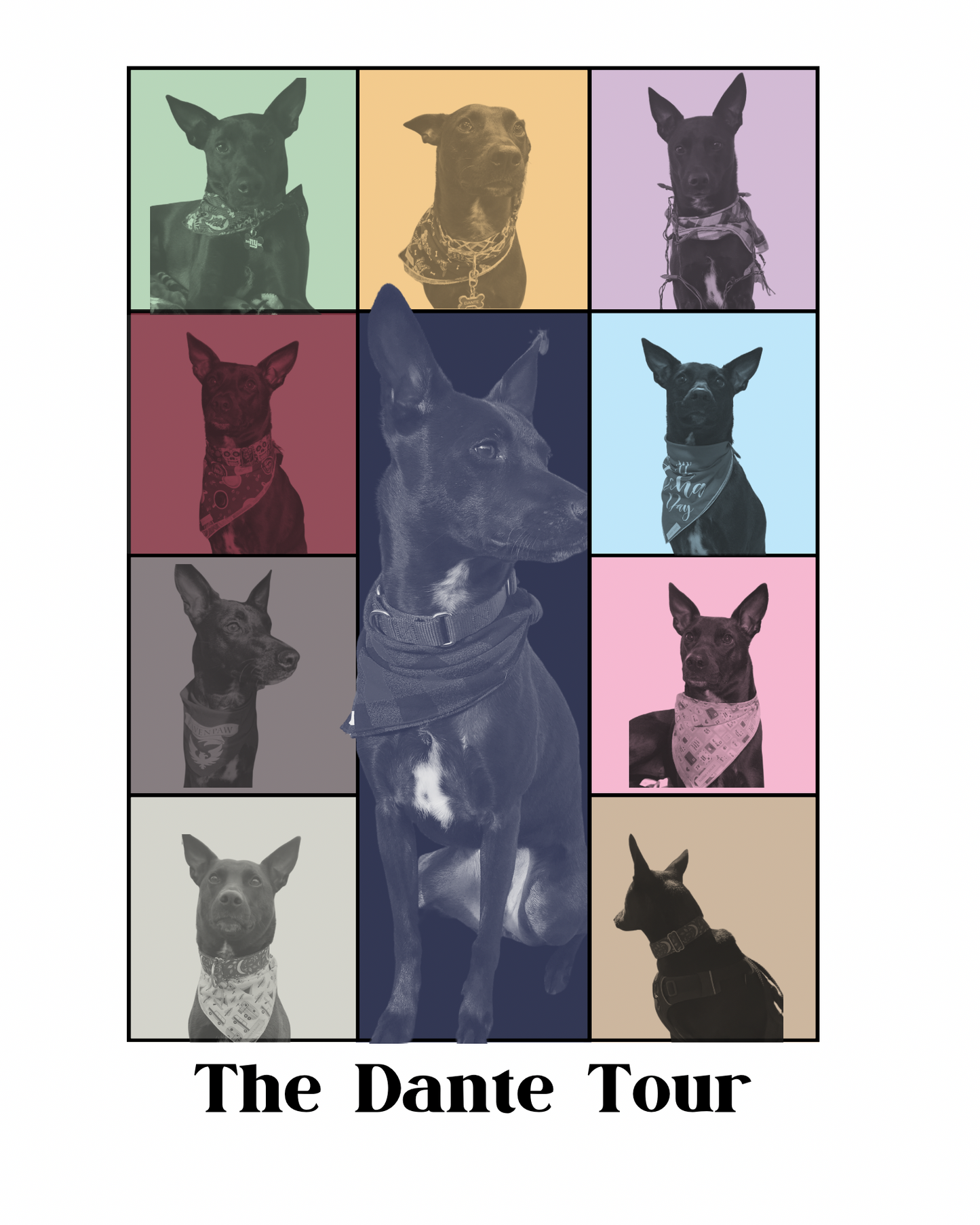 Pet Custom Eras Poster