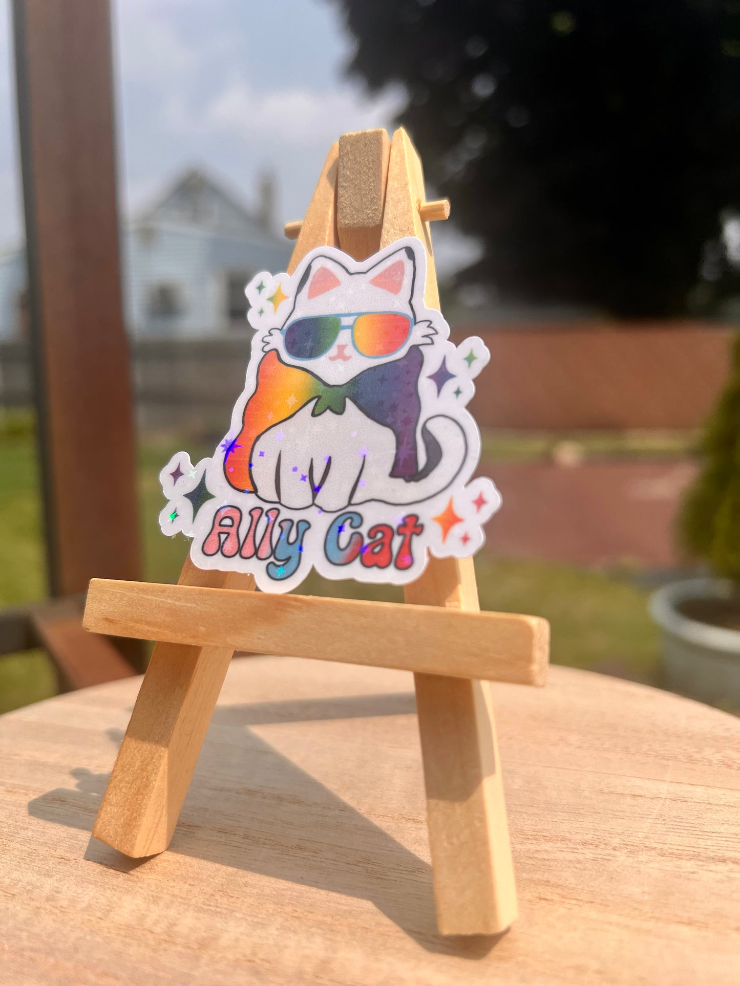 Ally Cat